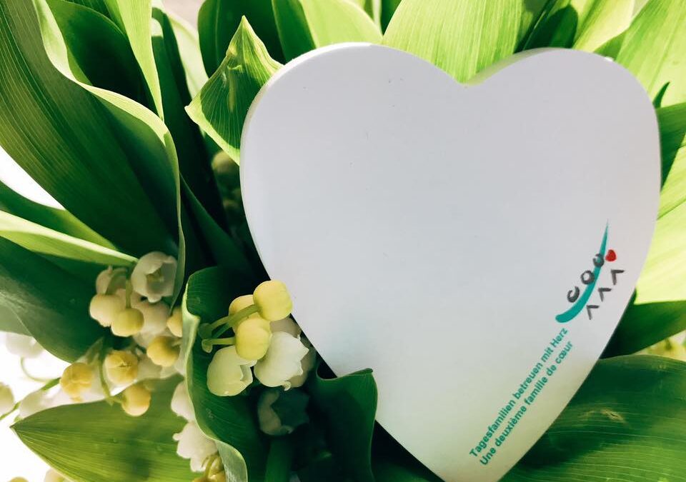 Wir suchen Betreuungspersonen