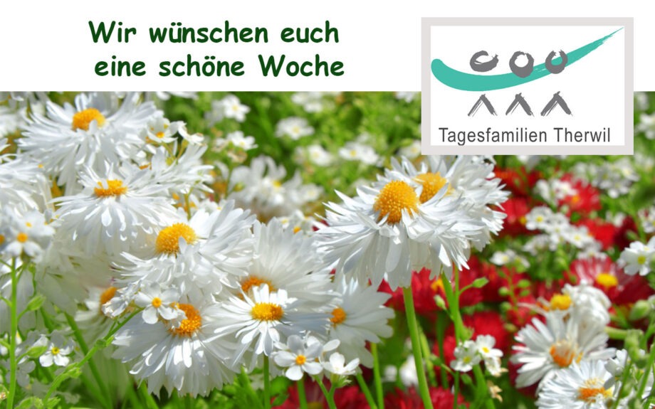Wir wünschen euch eine schöne Woche